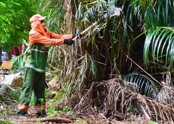 Ação conjunta da ETURB e SDU Centro inicia trabalho de revitalização da Praça do Liceu