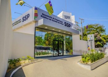 Piauí registra redução de homicídios, roubos e furtos em 2024