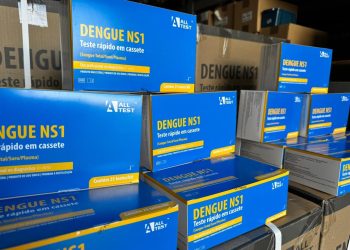 Piauí recebe mais de 10 mil testes rápidos para dengue