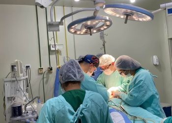 Piauí bate recorde em transplantes de córneas em 2024