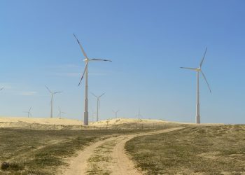 Parques eólicos aumentam PIB per capita de municípios nordestinos em 20%