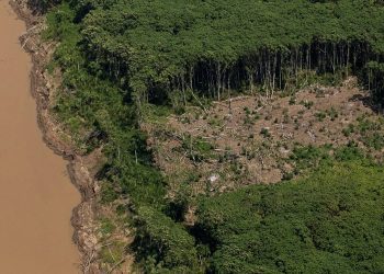 Projeto do Governo Federal aumenta punição para crimes ambientais