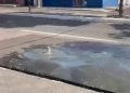 Serviço prestado pela Águas de Teresina gera insatisfação nos teresinenses