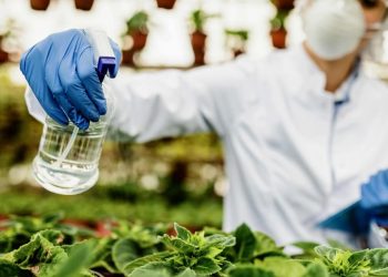 Projeto visa obrigar comércios a identificarem compradores de agrotóxicos no Piauí