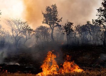Expira prazo de MP que facilitou repasse de recursos para combate a incêndios