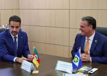 Mapa e governo do RS alinham ações sobre gripe aviária e apoio aos produtores rurais