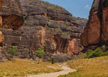Piauí renova com a União acordo para conservação de biomas