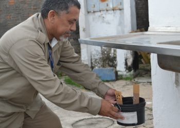 Centro de Zoonoses coleta mais de 22 mil ovos do mosquito da dengue em Teresina