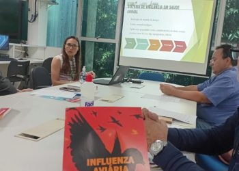 Adapi e Sesapi alinham ações conjuntas de prevenção e controle da gripe aviária no Piauí