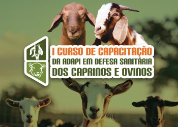 Adapi realiza curso de capacitação em defesa sanitária de caprinos e ovinos amanhã (17)