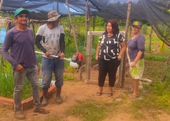 Sada oferece assistência técnica na implantação e acompanhamento de horta comunitária