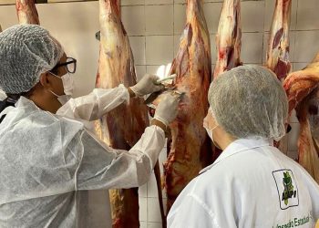 Serviço de Inspeção Estadual assegura qualidade e segurança de alimentos no Piauí