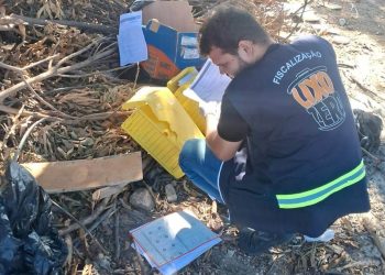 Programa Lixo Zero ultrapassa 1.000 autuações e amplia fiscalização com novas câmeras