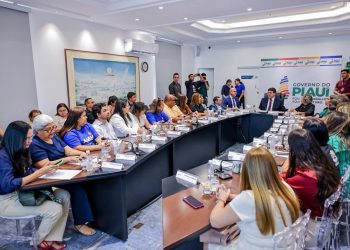 Entidades do Piauí pedem aprovação de ICMS Inclusão ao governador