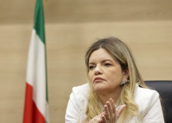 Alepi vai analisar projeto sobre adultização de crianças nas redes sociais