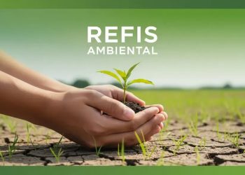Piauí lança seu primeiro Refis Ambiental com até 90% de desconto em multas