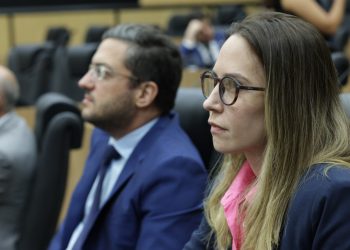 Alepi aprova Política Estadual de Combate a Fraudes Virtuais