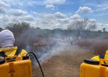 Portaria contra uso do fogo reduz queimadas no Piauí e é novamente prorrogada