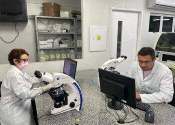 Gestantes passam a ter acesso ao exame de HTLV nas unidades de saúde de Teresina