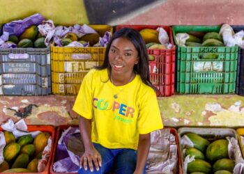 SAF lança editais para compra de R$ 6 milhões em alimentos da agricultura familiar no Piauí