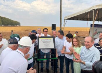 CS Grãos e Governo do Piauí assinam ordem de serviço para pavimentação de 8km da PI-391