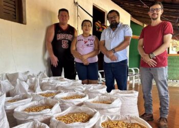 SAF inicia distribuição de sementes crioulas para o ano-safra 2025/2026