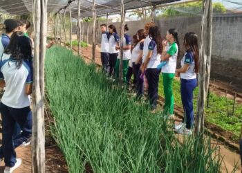 Sancionada lei que aproxima escolas estaduais da realidade do agro