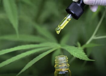 Novas normas da Anvisa liberam mais formas de uso da cannabis medicinal