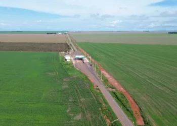 CS Grãos do Piauí garante segurança e redução de tempo na Transcerrados