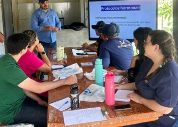 Piauí + Genética: Sada promove primeiro curso de inseminação artificial para bovinos em Teresina