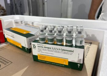 Piauí recebe primeiro lote da vacina contra a dengue para imunizar profissionais de saúde