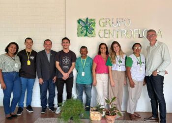 Estudantes da Uespi desenvolvem sistema de gestão farmacêutica para atender população vulnerável