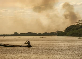 Plano Clima é publicado como um guia para economia de baixo carbono