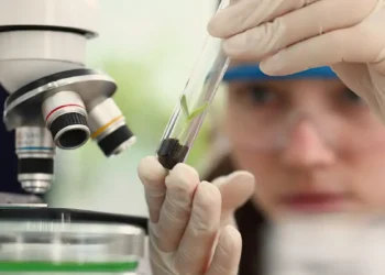 Observatório lança edital do programa Meninas Cientistas do ON