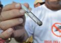 Teresina registra um caso de dengue tipo 3 e intensifica ações de prevenção