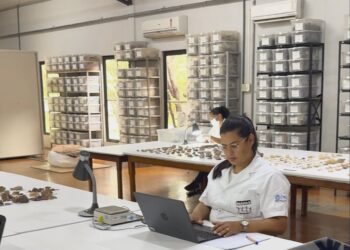 Mulheres lideram 54,6% das bolsas da Fapepi e são maioria em três das quatro modalidades de pesquisa