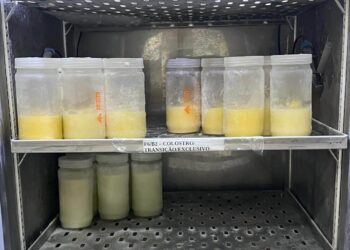 Nova Maternidade Evangelina Rosa intensifica campanha de doação de leite humano