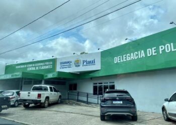 Homem é conduzido à Central de Flagrantes após trote de falso homicídio em Teresina