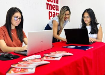 Etipi lança guia para melhorar serviços públicos digitais com foco no cidadão piauiense
