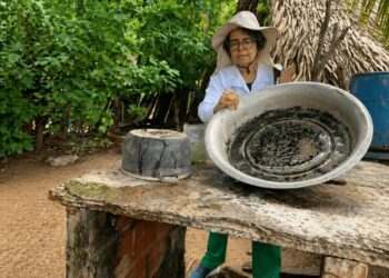 FMS intensifica ações de combate à dengue na comunidade Campestre após aumento de casos suspeitos