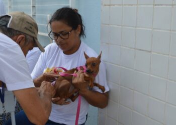 FMS divulga locais da zona rural sul e sudeste que receberão vacinação da raiva