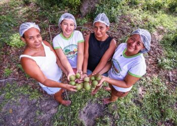 Prazo de inscrições para projeto que vai investir R$ 33 milhões na agricultura familiar é prorrogado