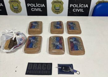 Pacto Pela Ordem: SSP apreende entorpecentes e prende suspeito na zona sul de Teresina