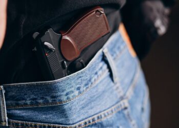 Comissão da Câmara aprova porte de arma para agentes de fiscalização ambiental