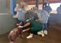 Piauí compartilha experiência em diagnóstico e enfrentamento da PSC com técnicos de Roraima