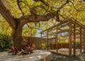 CASACOR Piauí 2026 recebe Rodrigo Ohtake com a palestra “Cor na Arquitetura” nesta quinta (21)