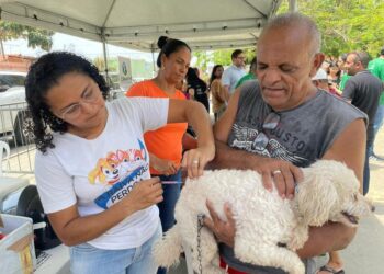 Campanha de vacinação contra a raiva chega às zonas Norte e Leste de Teresina neste sábado (9)