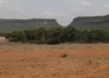Fragmentos de vegetação nativa cresceram no país 260% em 38 anos