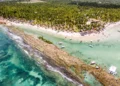 Barulho de barco e de turistas afeta comunicação de peixes, diz estudo