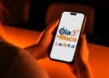 Saiba como registrar queimadas e outras situações de risco pelo celular no Piauí